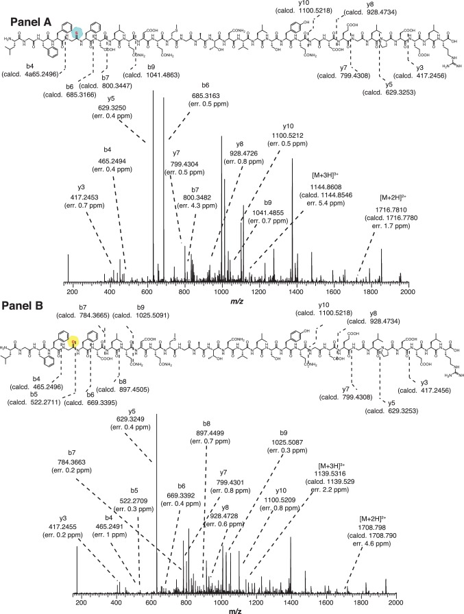 Figure 4—figure supplement 1.