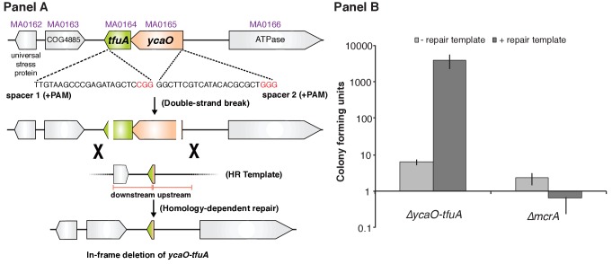 Figure 3.