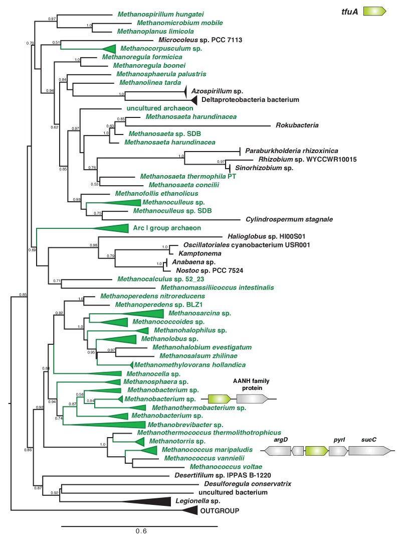 Figure 2—figure supplement 2.