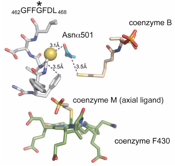 Figure 1—figure supplement 1.