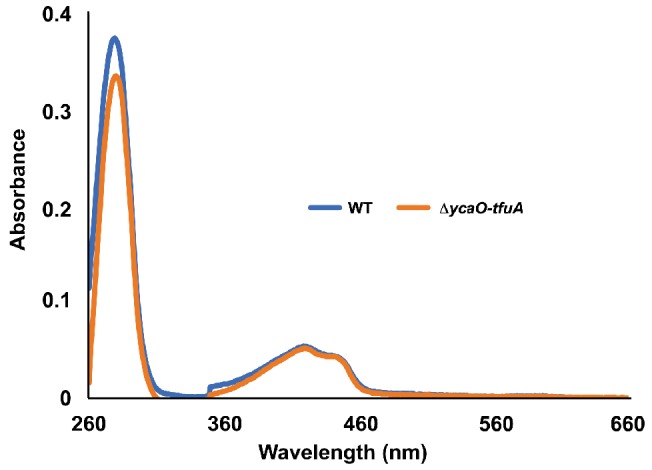 Figure 5—figure supplement 2.