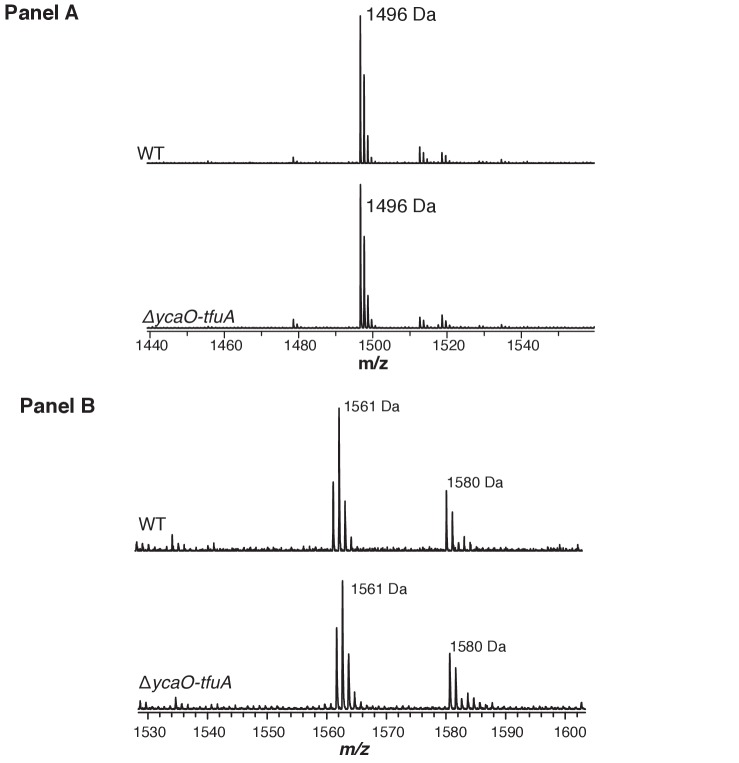 Figure 4—figure supplement 3.