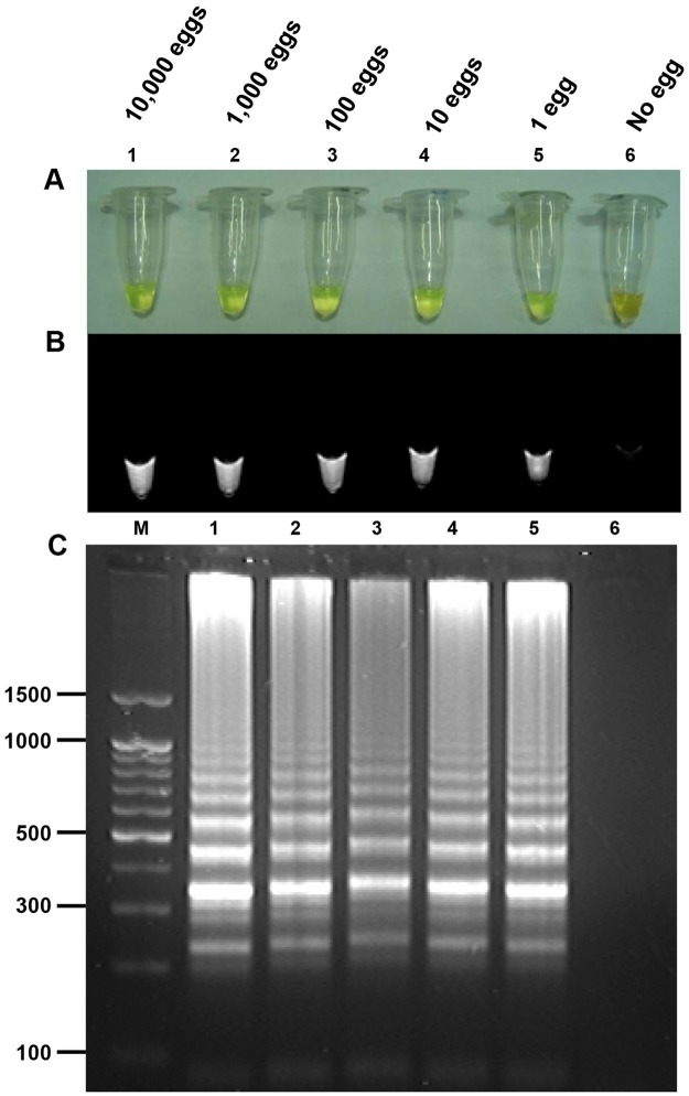 Fig 3