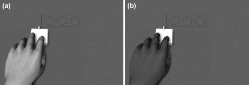 Fig. 1