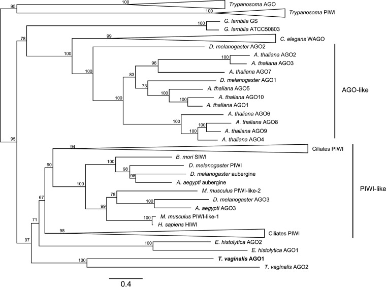 FIG 1