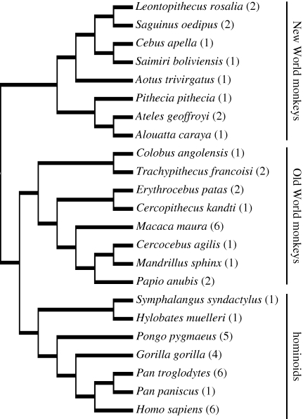 Figure 1.