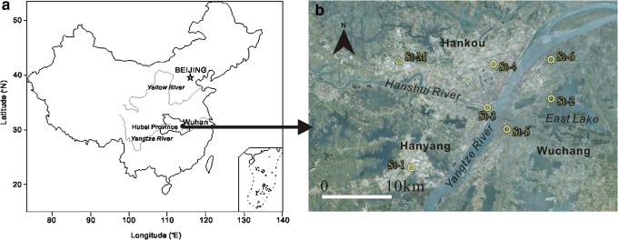 FIG. 1.