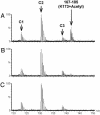 Fig. 5.
