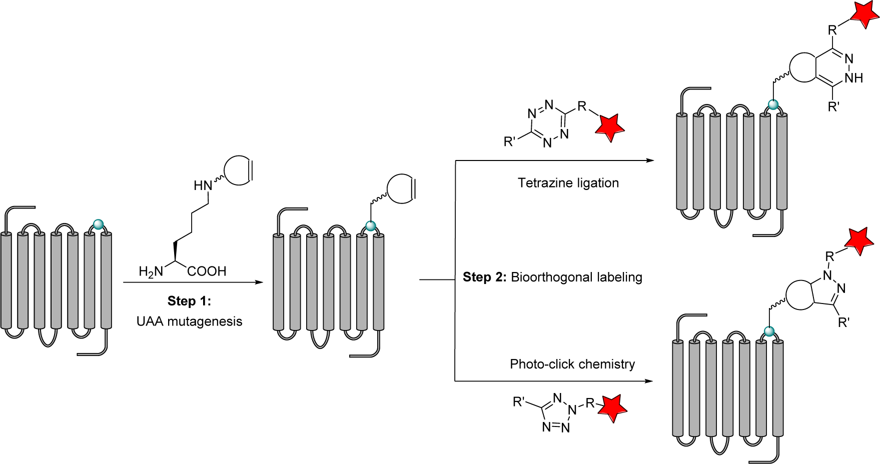Figure 1.