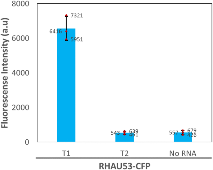 Fig. 5