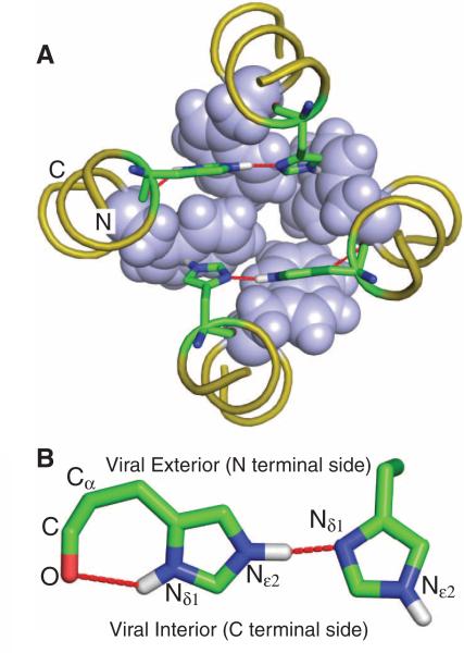 Fig. 2