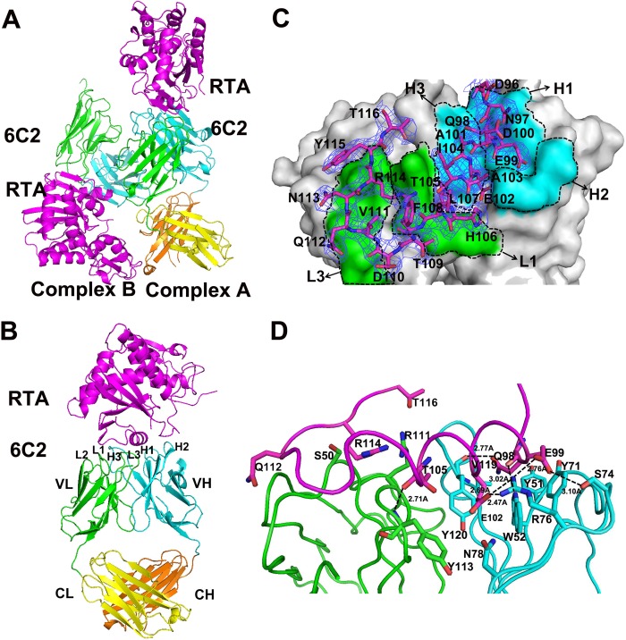 FIGURE 1.