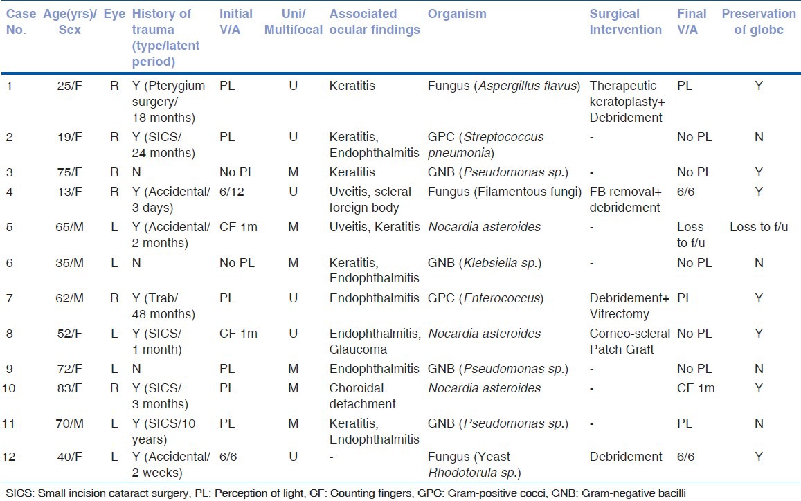 graphic file with name IJO-61-590-g001.jpg