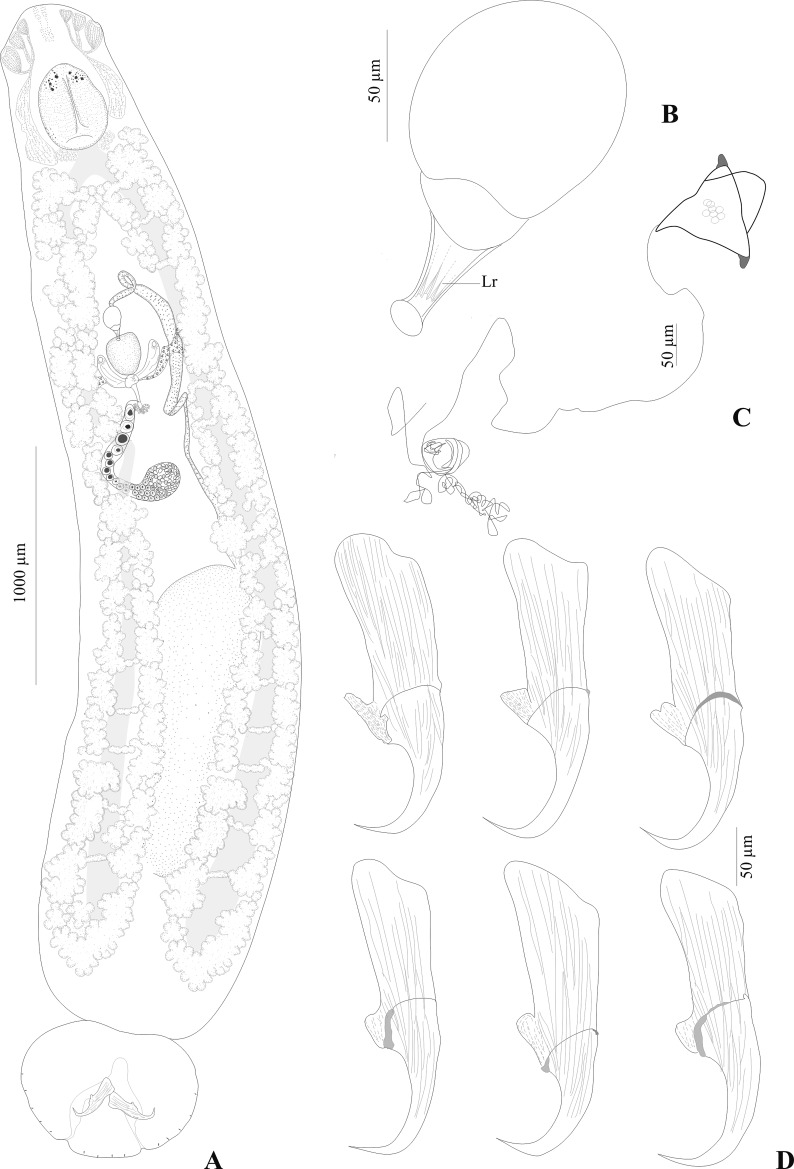 Figure 2.