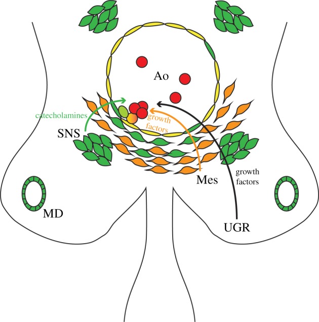 Figure 3.