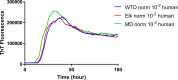 Fig 10