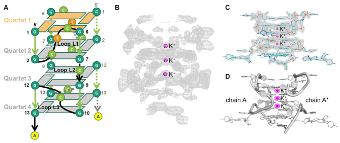 Figure 2.