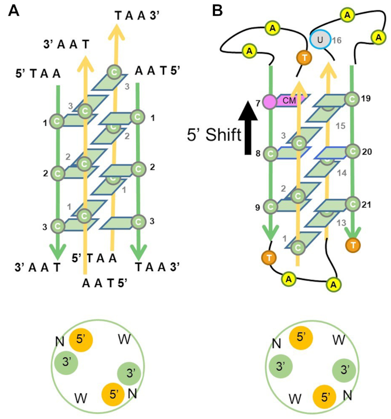 Figure 6.