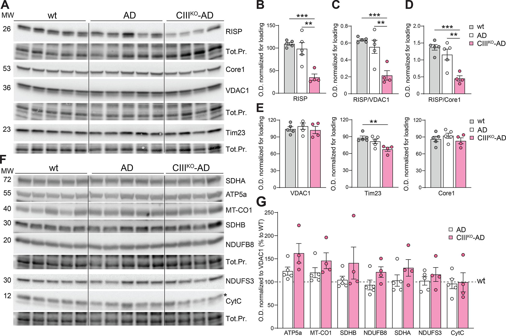 Figure2: