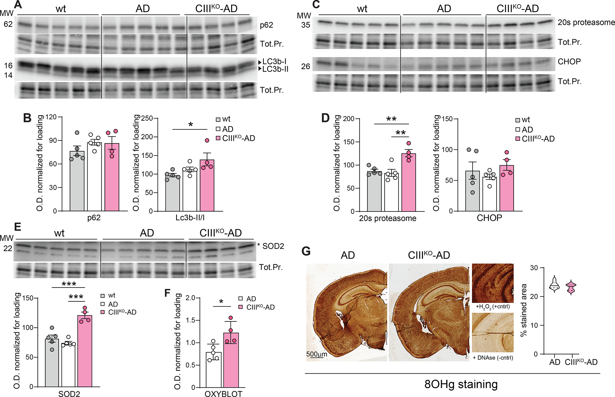 Figure6: