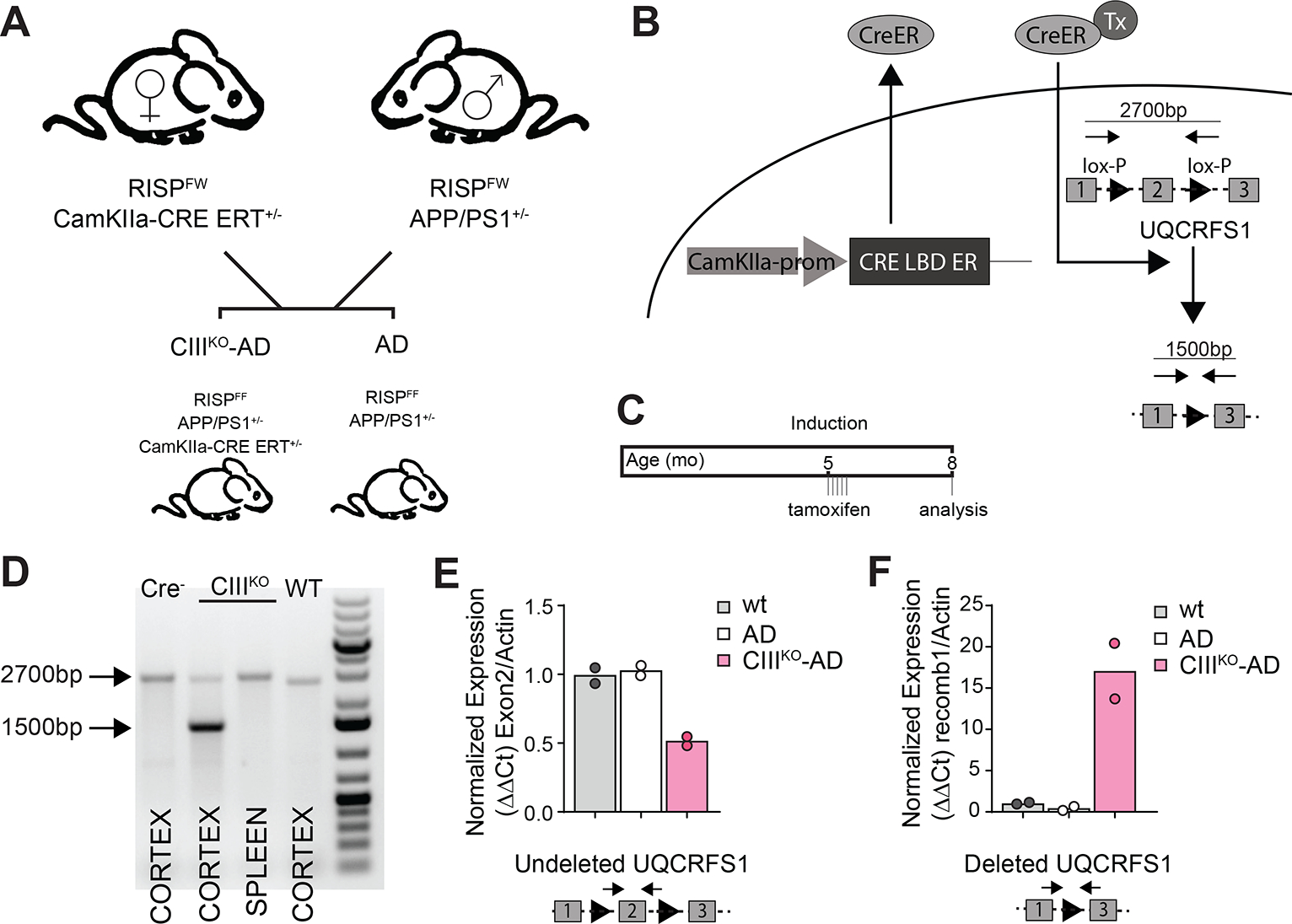 Figure1: