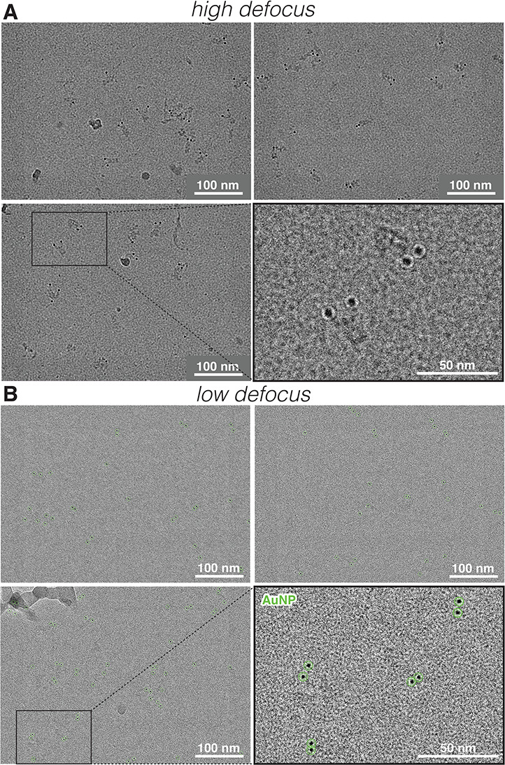 Figure 1—figure supplement 2.