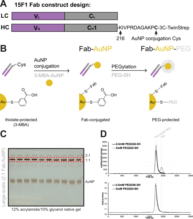 Figure 1—figure supplement 1.