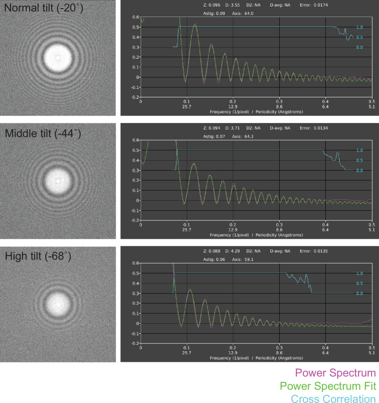 Figure 4—figure supplement 1.