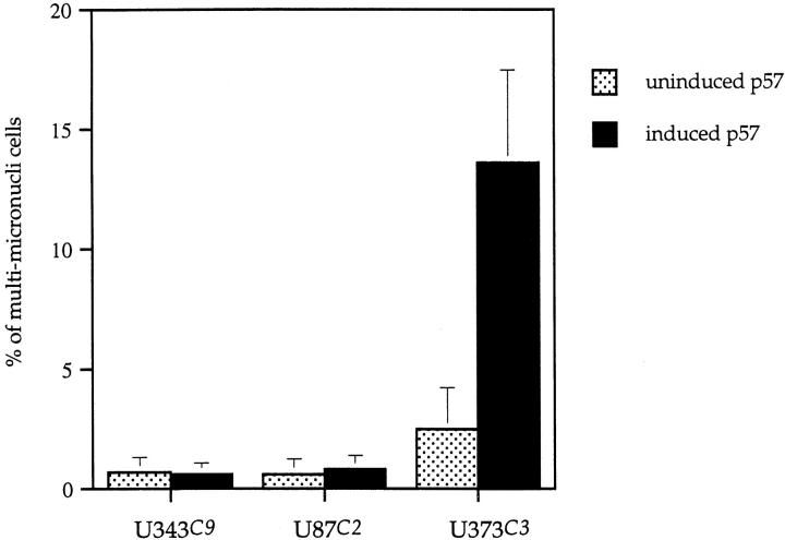 Figure 10.