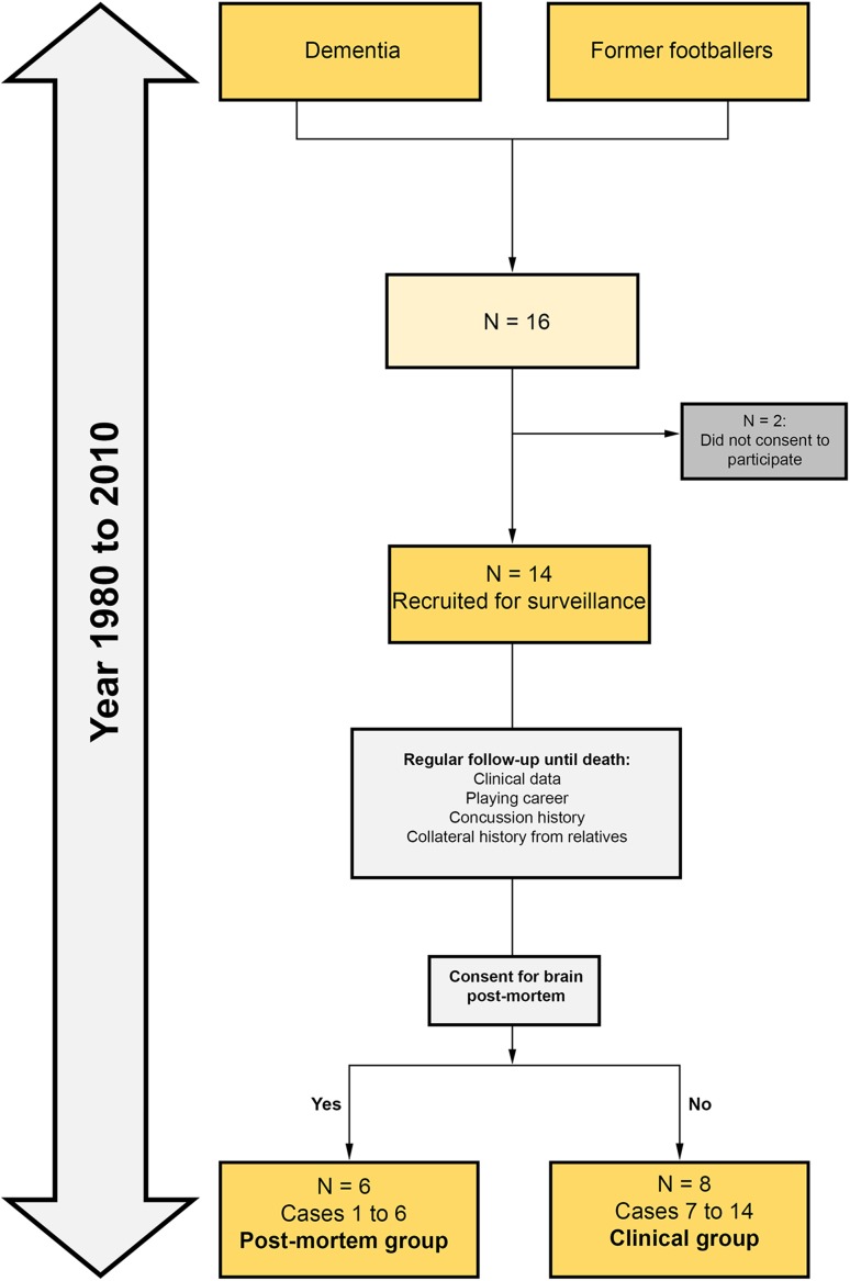 Fig. 1