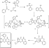 Scheme 53