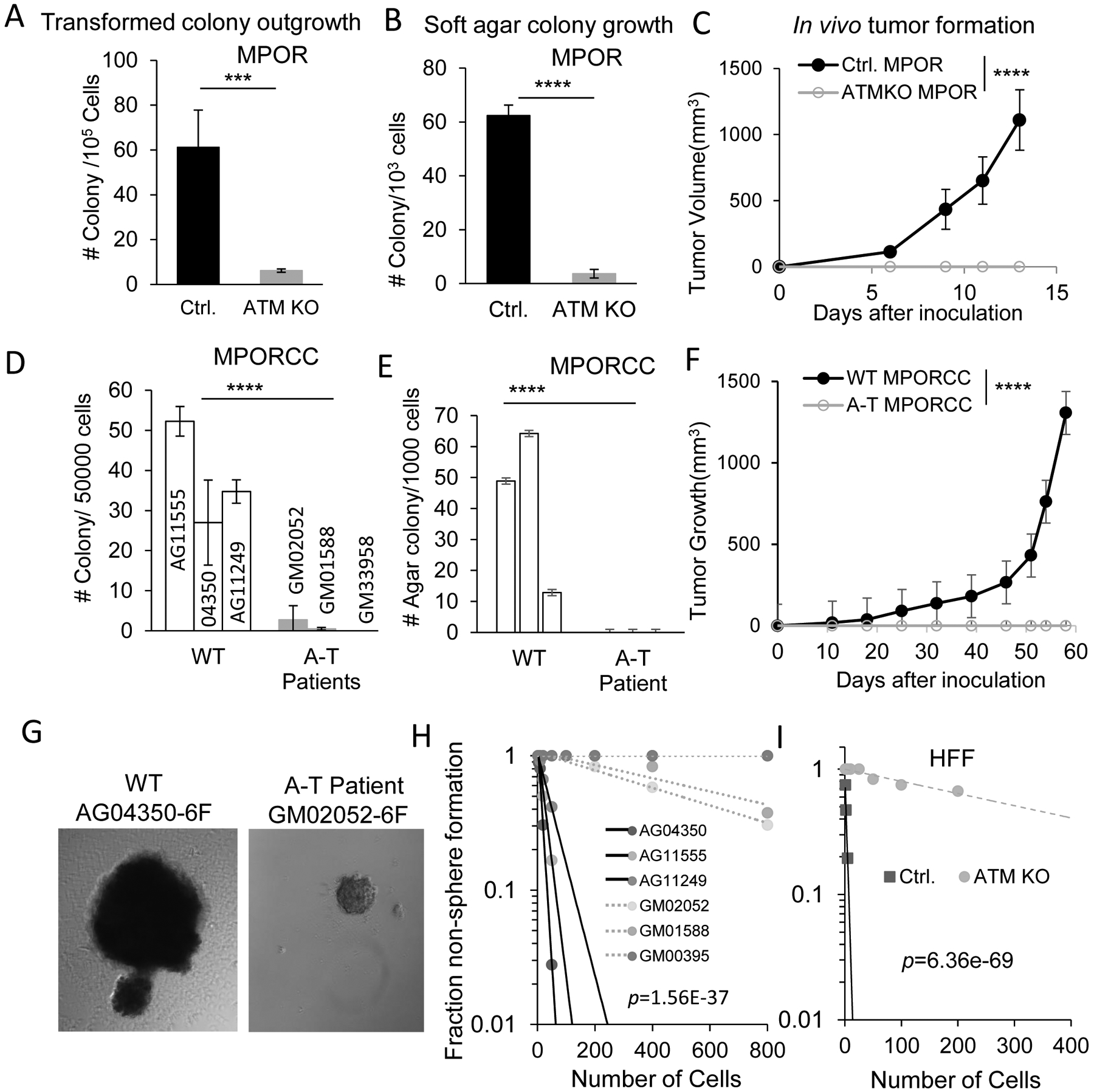 Fig.2