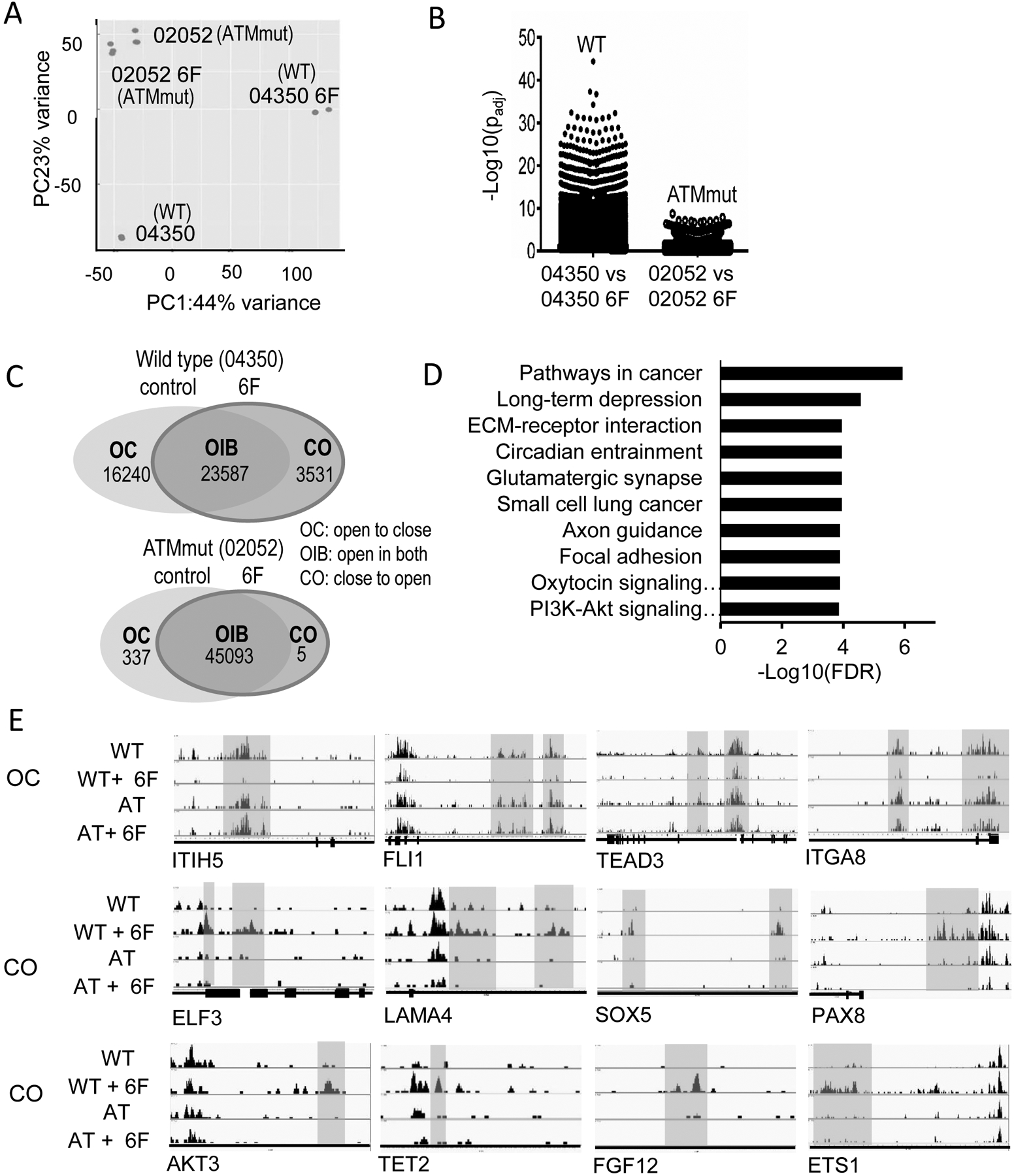 Fig. 4.