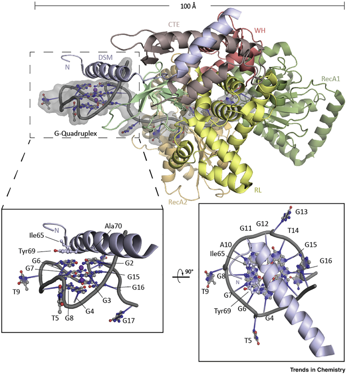 Figure 4