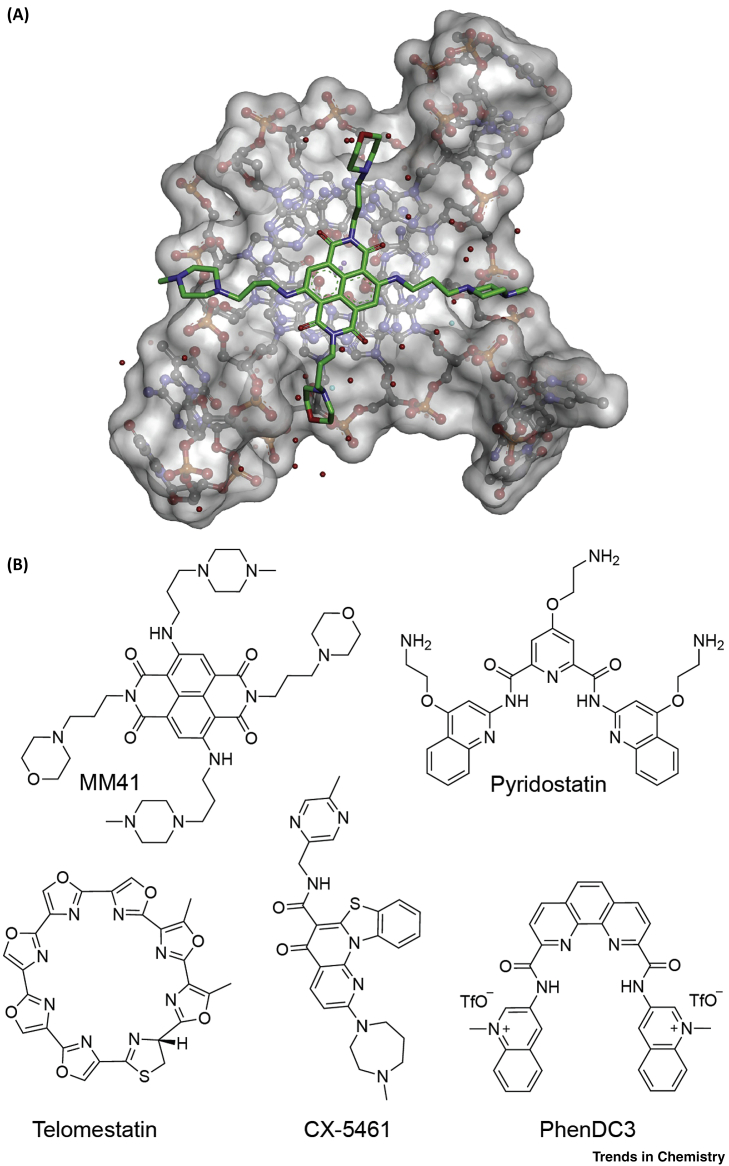 Figure 2