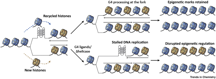 Figure 5