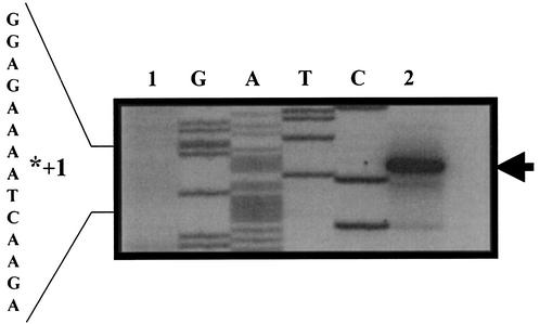 FIG. 7.