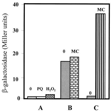 FIG. 9.