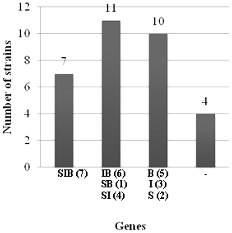 FIGURE 1