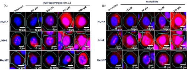 Figure 4: