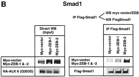 graphic file with name cdg225f1b.jpg