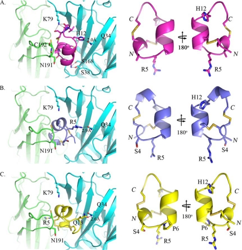 FIGURE 10.