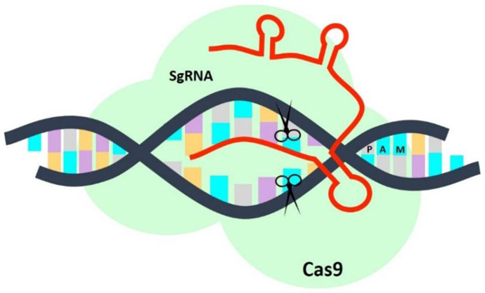 Figure 2.