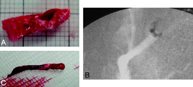 Fig 2.