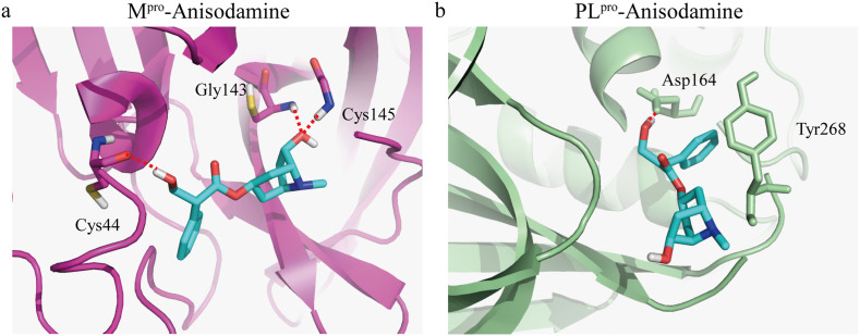 Fig. 4