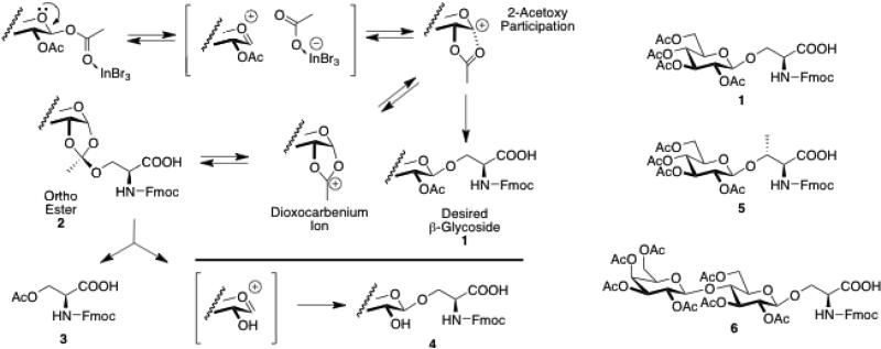 Scheme 2