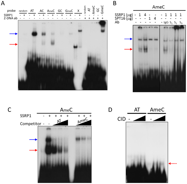 Figure 7.