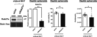 Figure 4—figure supplement 3.