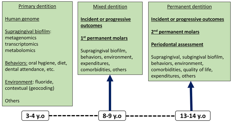 Figure 3.