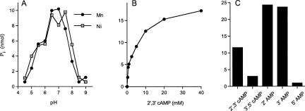 FIGURE 6.